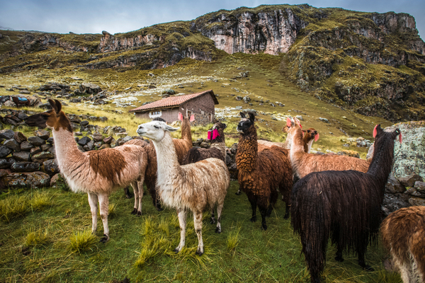 Ausangate Trek, Cusco - Peru