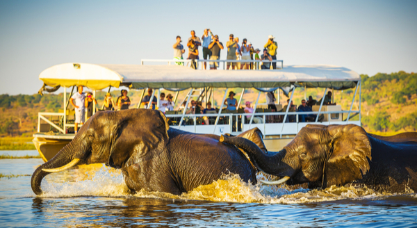 Best 5 Safari Destinations in Botswana, Africa